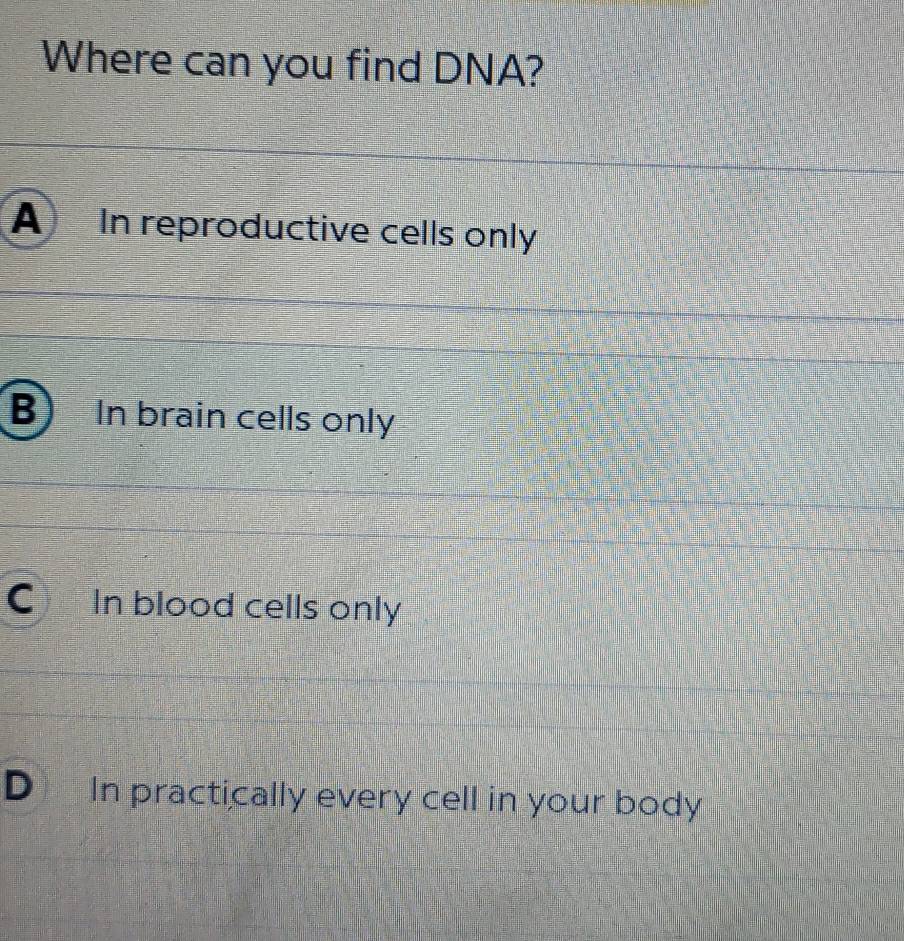 Where can you find DNA?
A In reproductive cells only
B) In brain cells only
C In blood cells only
D In practically every cell in your body