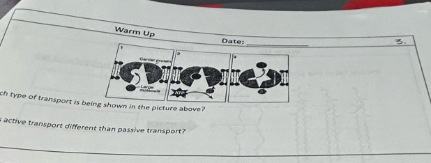 Warm Up 
Date: 
_ 
_ 
ch type of transport is bwn in the picture above? 
s active transport different than passive transport? 
_