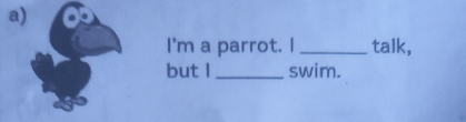 I'm a parrot. I _talk, 
but I _swim.