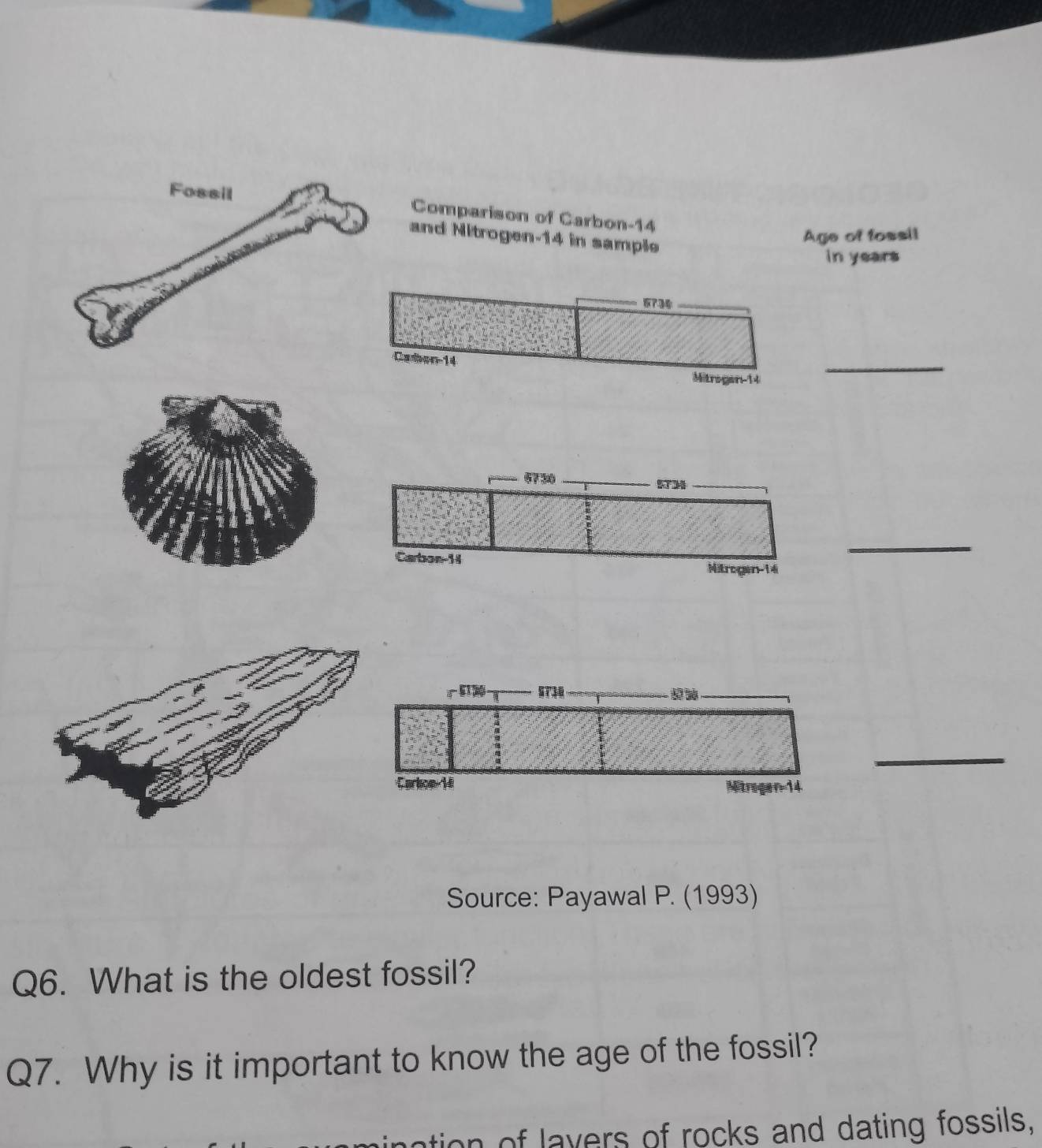 Comparison of Carbon- 14
and Nitrogen- 14 in sample 
Age of fossil 
in years
Caben 14
Mitrogen-14 
_ 
_ 
_ 
Source: Payawal P. (1993) 
Q6. What is the oldest fossil? 
Q7. Why is it important to know the age of the fossil? 
ation of lavers of rocks and dating fossils,