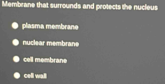 Membrane that surrounds and protects the nucleus
plasma membrane
nuclear membrane
cell membrane
cell wall