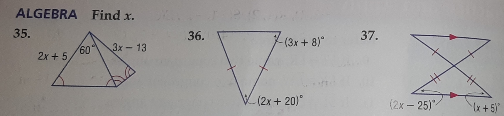 ALGEBRA Find x.
35.36.37.