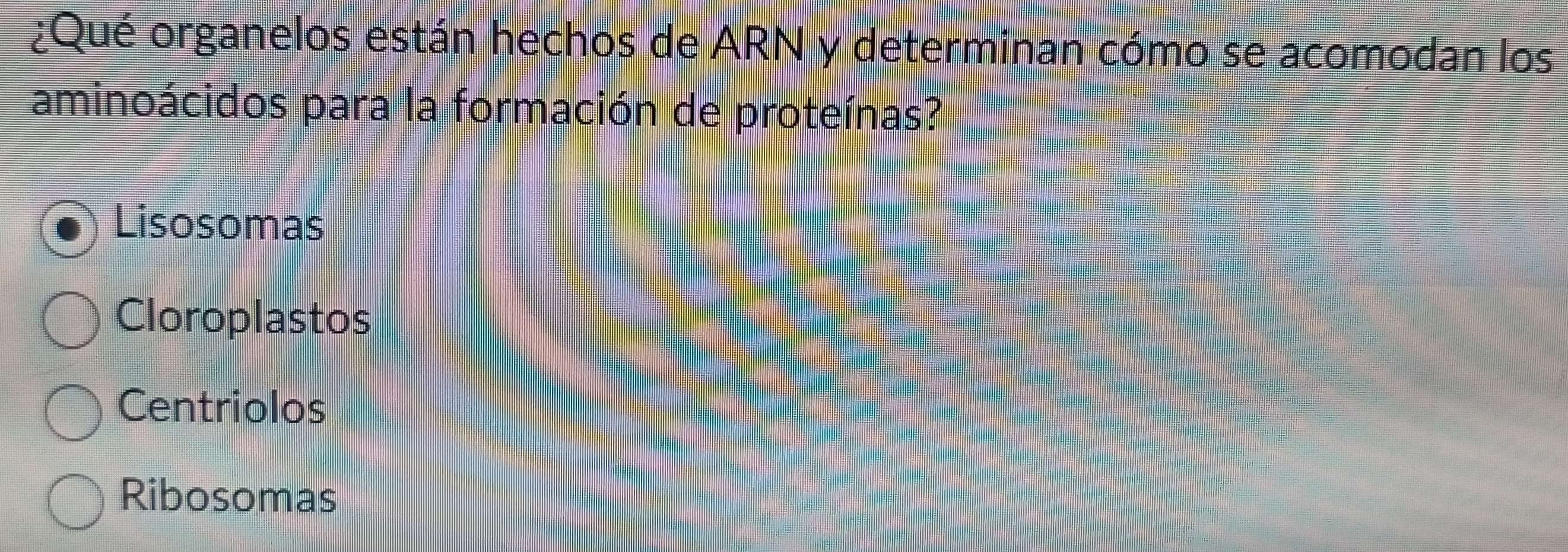 ¿Qué organelos están hechos de ARN y determinan cómo se acomodan los
aminoácidos para la formación de proteínas?
Lisosomas
Cloroplastos
Centriolos
Ribosomas