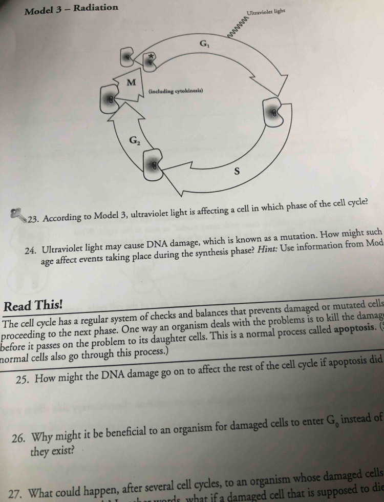 Model 3 - Radiation
light
23. According to Model 3, ultraviolet light is affecting a of the cell cycle?
24. Ultraviolet light may cause DNA damage, which is known as a mutation. How might such
age affect events taking place during the synthesis phase? Hint: Use information from Mod
Read This!
The cell cycle has a regular system of checks and balances that prevents damaged or mutated cells
proceeding to the next phase. One way an organism deals with the problems is to kill the damage
before it passes on the problem to its daughter cells. This is a normal process called apoptosis. (5
normal cells also go through this process.)
25. How might the DNA damage go on to affect the rest of the cell cycle if apoptosis did
26. Why might it be beneficial to an organism for damaged cells to enter G_0 instead of
they exist?
27. What could happen, after several cell cycles, to an organism whose damaged cells
words, what if a damaged cell that is supposed to die