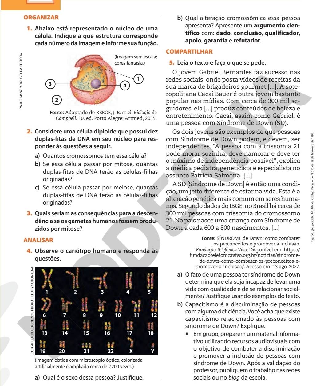 ORGANIZAR b) Qual alteração cromossômica essa pessoa
1. Abaixo está representado o núcleo de uma apresenta? Apresente um argumento cien-
célula. Indique a que estrutura corresponde  tífico com: dado, conclusão, qualificador,
cada número da imagem e informe sua função. apoio, garantia e refutador.
COMPARTILHAR
5. Leia o texto e faça o que se pede.
O jovem Gabriel Bernardes faz sucesso nas
redes sociais, onde posta vídeos de receitas da
sua marca de brigadeiros gourmet [...]. A sote-
ropolitana Cacai Bauer é outra jovem bastante
popular nas mídias. Com cerca de 300 mil se-
guidores, ela [...] produz conteúdos de beleza e
Fonte: Adaptado de REECE, J. B. et al. Biologia de entretenimento. Cacai, assim como Gabriel, é
Campbell. 10. ed. Porto Alegre: Artmed, 2015.
uma pessoa com Síndrome de Down (SD).
2. Considere uma célula diploide que possui dez Os dois jovens são exemplos de que pessoas
duplas-fitas de DNA em seu núcleo para res- com Síndrome de Down podem, e devem, ser
ponder às questões a seguir. independentes. “A pessoa com a trissomia 21
a) Quantos cromossomos tem essa célula? pode morar sozinha, deve namorar e deve ter
o máximo de independência possível”, explica
b) Se essa célula passar por mitose, quantas a médica pediatra, geneticista e especialista no
duplas-fitas de DNA terão as células-filhas assunto Patrícia Salmona. [...]
c) Se essa célula passar por meiose, quantas ção, um jeito diferente de estar na vida. Esta é a :
originadas?
A SD [Síndrome de Down] é então uma condi-
duplas-fitas de DNA terão as células-filhas alteração genética mais comum em seres huma-
originadas?
nos. Segundo dados do IBGE, no Brasil há cerca de
3. Quais seriam as consequências para a descen- 300 mil pessoas com trissomia do cromossomo
dência se os gametas humanos fossem produ-  21. No país nasce uma criança com Síndrome de
zidos por mitose? Down a cada 600 a 800 nascimentos. [...]
ANALISAR  Fonte: SÍNDROME de Down: como combater
os preconceitos e promover a inclusão.
4. Observe o cariótipo humano e responda às Fundação Telefônica Vívo. Disponível em: https://
fundacaotelefonicavivo.org.br/noticias/sindrome-
questões. de-down-como-combater-os-preconceitos-e-
promover-a-inclusao/. Acesso em: 13 ago. 2022.
a) O fato de uma pessoa ter síndrome de Down
determina que ela seja incapaz de levar uma
vida com qualidade e de se relacionar social-
mente? Justifique usando exemplos do texto.
b) Capacitismo é a discriminação de pessoas
com alguma deficiência. Você acha que existe
capacitismo relacionado às pessoas com
síndrome de Down? Explique.
Em grupo, preparem um material informa-
tivo utilizando recursos audiovisuais com
o objetivo de combater a discriminação
e promover a inclusão de pessoas com
(Imagem obtida com microscópio óptico, colorizada
síndrome de Down. Após a validação do
artificialmente e ampliada cerca de 2 200 vezes.)
professor, publiquem o trabalho nas redes
a) Qual é o sexo dessa pessoa? Justifique. sociais ou no blog da escola.