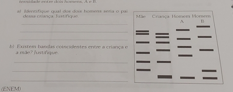 ternidade entre dois homens. A e B. 
a) Identifique qual dos dois homens seria o pai 
dessa criança. Justifique. Mãe Criança Homem Homem 
_ 
A B 
_ 
_ 
_ 
_ 
b) Existem bandas coincidentes entre a criança e 
_ 
_ 
a mãe? Justifique. 
_ 
_ 
_ 
(ENEM)