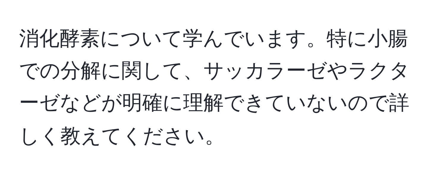 消化酵素について学んでいます。特に小腸での分解に関して、サッカラーゼやラクターゼなどが明確に理解できていないので詳しく教えてください。