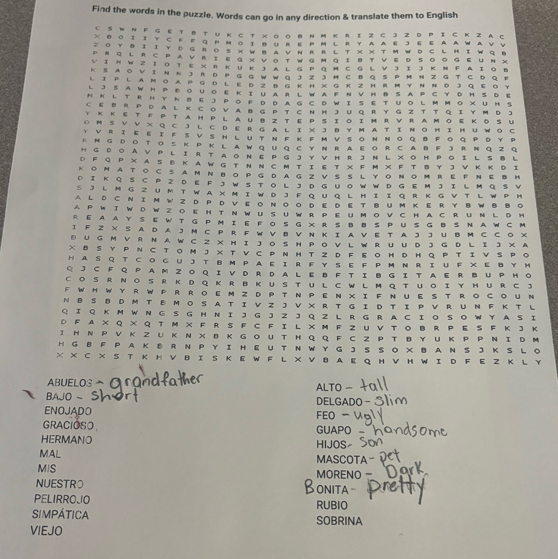 Find the words in the puzzle. Words can go in any direction & translate them to English
C S W N F G E T B T U K C T ×O O B N M K R I Z C J Z D P I C K Z A C
X B O Ι Ι Y C F F Q P M OI B U R  E P M L R Y AA E J E E AAW A V Ⅴ
Z O Y B I I Y D G R  O S × W B  A V N R R L T × × T M W D CL H I W Q B
P R Q L R C P A V R I E G × V O T W G M Q I B T V E D  S O O G E U N X
V Ι H W Z Ι O T E X R Κ U Κ J A L G P Q M C G L V J Ι J Κ N F A Ι O B
KS A O V  I N N J R D P G G W W Q J Z J M C B Q S P  M N Z G T C D Q F
L I P L  A M O A P GD L E  D Z B  G K H ×  G K Z H R M Y N N D J QE O Y
L J S A W H P BO UO E KI UAR L WA F N V H B SA P C Y D H S D E
M KL T R H Y N BE J PO F D D A G C D WI S E T UO L M MO X U H S
C E B R P D A L K C O V A B G P T C N H J U Q R Y G Z T T Q I Y M D J
YK K E T F P T A H P L AU B Z T EP S I O I MR V R A M O E K DS U
O M S V V × Q C J L C D E R G A  L I  × J B  Y M A T IN O H I H U WO C
Y VRI E EI F S VS H L UT N F K F M VSO N NOQ B FOQ P D Y P
R M G D OT O S K P K L A W Q  U QC Y N RA E O R C A B FJR NQ Z Q
H GDOAV P L IR T ANE P G J Y V H R J N L XO H PO I L S B L
D F Q P × A S B K A W G T N N C M T I E T × F M X F T B Y J V Κ K D I
KOMATΟC SAM N BO PG D AG Z V SS L YO NOM R E F NE B H
D I K Q  S  C P  Z  D  E F J W  S T O L J D G  U OW W D G  E  M J I  L MQ S V
S J L M G Z UM T W A X M I W D J F Q U Q L HI I Q R K G V T L W P H
A L D C NIM W Z D P D VEO NOO D E D E T BUM KE R Y B WB BO
A P W I W D W Z O E HT N W U SU W R P E U  M O V C H A C R U N L D H
R E AAY S E W T GP M I E F O S G X R S B B S  P U S G B S  N A W C M
I F Z X S A D A J M C P R F W V B V N K I A V E T A J J U B M C C O X
B U G M V R N A W C Z X H  I J  O S H P O V L W R UU D J G D L I J × A
× B S Y P N C T Ο M J × T V C P N H TZ  D FE O  H  D H Q P  T ΙV  S P O
HAS Q  T C O G U J T B M  P A E I R F Y S  E F P M  N R I U  F  X E B Y H
Q J C F Q  P A M  Z O Q ΙV DR D A LE B  F  T I B G  I T A E RB U  P H O
C O S R N O S R K D Q KRB K U S T U L C W L M Q T U O Ι Y H U  R CJ
F WH WY R W P R ROE M Z D P T  N P E N XI F N U E S T RO CO U N
N B S B D M T B  M  O S A T I V Z J V X R T G I D T I P V R U  N F KT L
Q Ι Q K M W N G S G H N I J G J Z J Q Z L R G R A C I O S O W Y A  S I
D F A × Q × Q T M × F R S F C F I L × M F Z U V T O B R P E S F Κ J K
I H N PV K Z U K N X B K G O U T H Q Q F C Z P T B Y U Κ P P N ΙD M
H G B F P A K B R N P Y I H E U T N W  Y G  J S S O X BA N S J K S L O
× × C × S T K H V B I S K E W F L × V BA E Q H V H W I D F E Z Κ L Y
ABUELOS ALTO -
BAJO -
DELGADO
ENOJADO FEO 
GRACIOSO , GUAPO 
HERMANO
HIJOS
MAL
MASCOTA
MIS MORENO 
NUESTRO Bonita -
PELIRROJO
RUBIO
SIMPÁTICA SOBRINA
VIEJO