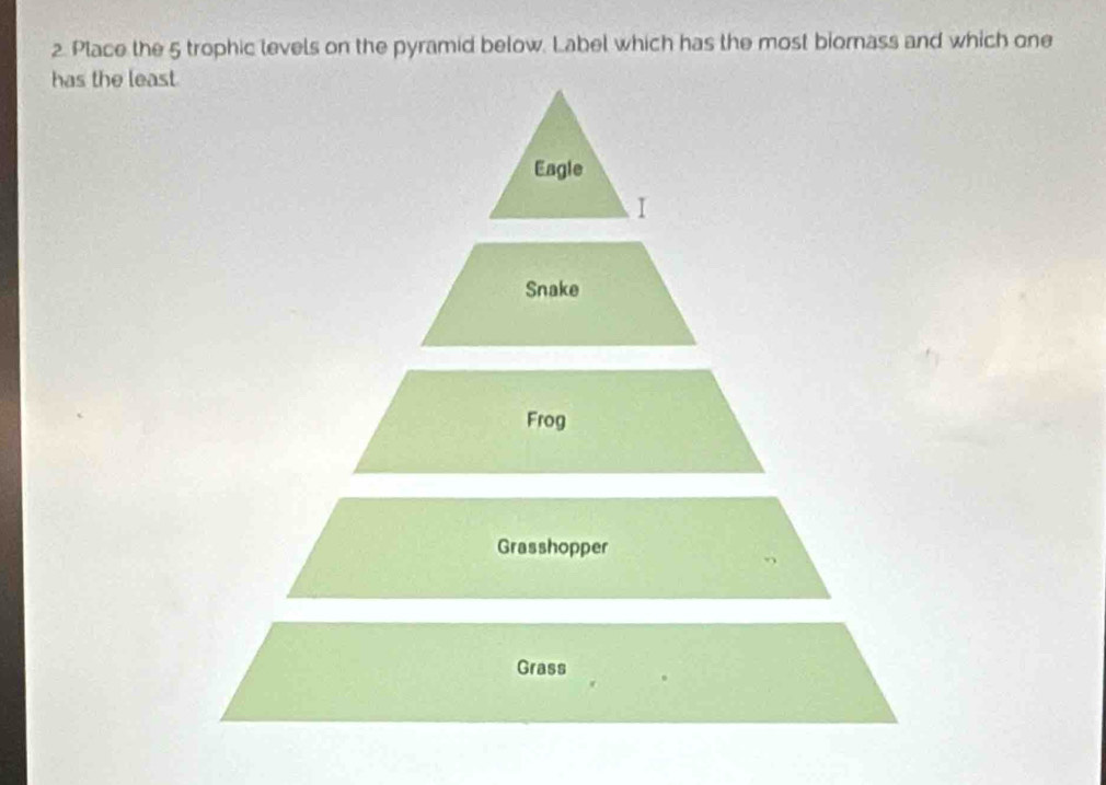 Place the 5 trophic levels on the pyramid below. Label which has the most biornass and which one
has the least
Eagle
I
Snake
Frog
Grasshopper
Grass