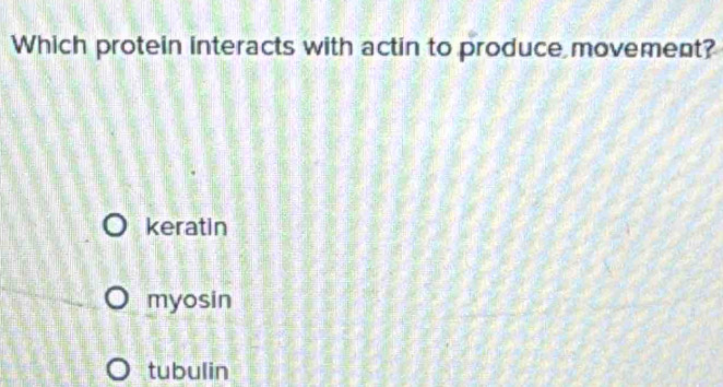 Which protein interacts with actin to produce movement?
keratin
myosin
tubulin