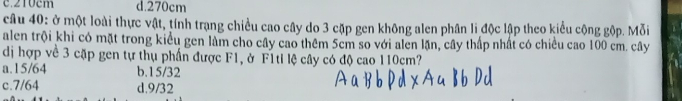 210cm d. 270cm
câu 40: ở một loài thực vật, tính trạng chiều cao cây do 3 cặp gen không alen phân li độc lập theo kiểu cộng gộp. Mỗi
alen trội khi có mặt trong kiểu gen làm cho cây cao thêm 5cm so với alen lặn, cây thấp nhất có chiều cao 100 cm. cây
dị hợp về 3 cặp gen tự thụ phần được F1, ở F1ti lệ cây có độ cao 110cm?
a. 15/64 b. 15/32
c. 7/64 d. 9/32