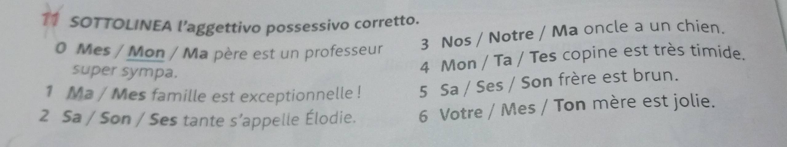 SOTTOLINEA l’aggettivo possessivo corretto. 
0 Mes / Mon / Ma père est un professeur 3 Nos / Notre / Ma oncle a un chien. 
super sympa. 
4 Mon / Ta / Tes copine est très timide. 
1 Ma / Mes famille est exceptionnelle ! 
5 Sa / Ses / Son frère est brun. 
2 Sa / Son / Ses tante s’appelle Élodie. 
6 Votre / Mes / Ton mère est jolie.