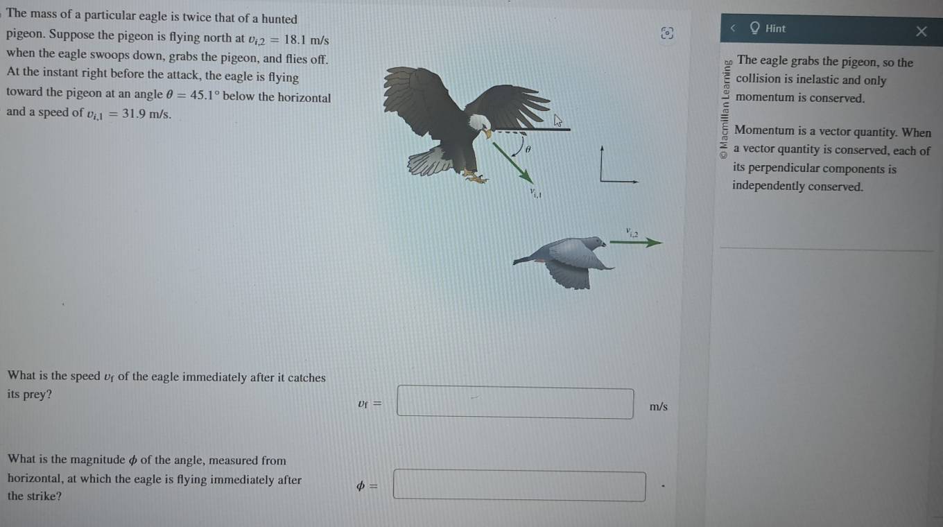 Solved: The mass of a particular eagle is twice that of a hunted Hint ...