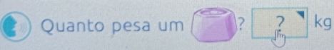 Quanto pesa um 2 7 kg