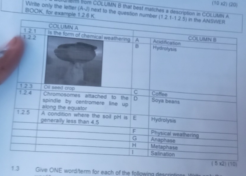 (10 x2) (20)
term from COLUMN B that best matches a description i
Write only the letter (Asqrt()) next to the questio
BOOK, for exa
1.3 Give ONE word/term for each of the following descrintions. Writ