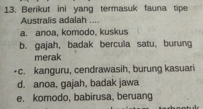 Berikut ini yang termasuk fauna tipe
Australis adalah ....
a. anoa, komodo, kuskus
b. gajah, badak bercula satu, burung
merak
c. kanguru, cendrawasih, burung kasuari
d. anoa, gajah, badak jawa
e. komodo, babirusa, beruang