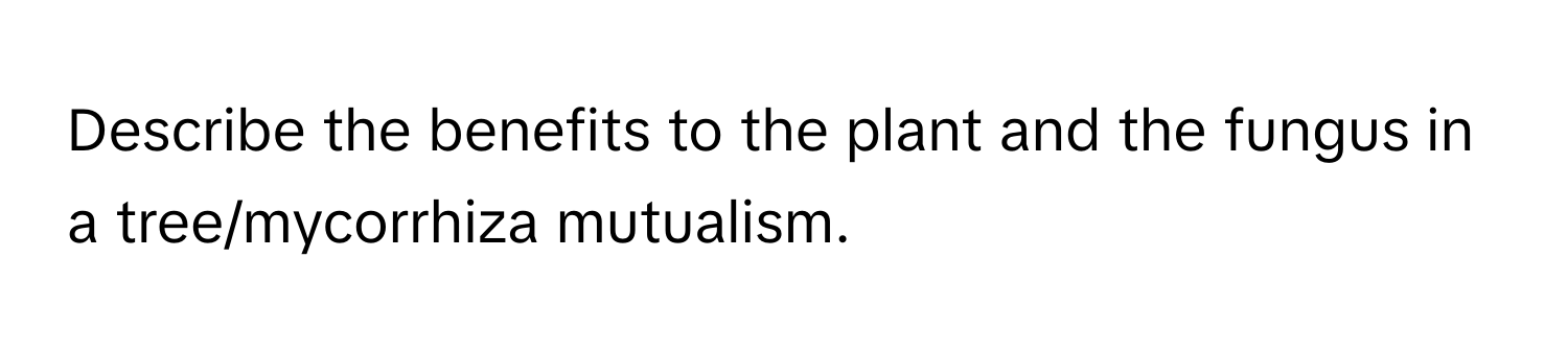 Describe the benefits to the plant and the fungus in a tree/mycorrhiza mutualism.