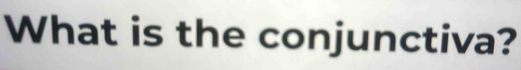 What is the conjunctiva?