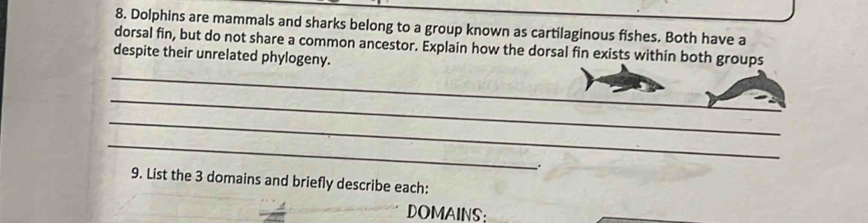 Dolphins are mammals and sharks belong to a group known as cartilaginous fishes. Both have a 
dorsal fin, but do not share a common ancestor. Explain how the dorsal fin exists within both groups 
despite their unrelated phylogeny. 
_ 
_ 
_ 
_ 
. 
9. List the 3 domains and briefly describe each: 
DOMAINS;