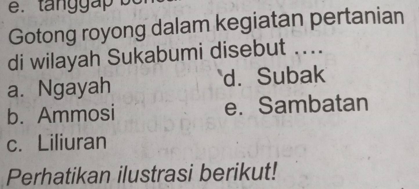 Gotong royong dalam kegiatan pertanian
di wilayah Sukabumi disebut ....
a. Ngayah
d. Subak
b. Ammosi e. Sambatan
c. Liliuran
Perhatikan ilustrasi berikut!