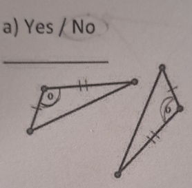 Yes/No
_