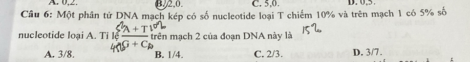 A. 0, 2. B. 2, 0. C. 5, 0. D. 0, 5.
Câu 6: Một phân tử DNA mạch kép có số nucleotide loại T chiếm 10% và trên mạch 1 có 5% số
nucleotide loại A. Tỉ lệ trên mạch 2 của đoạn DNA này là
A. 3/8. B. 1/4. C. 2/3. D. 3/7.