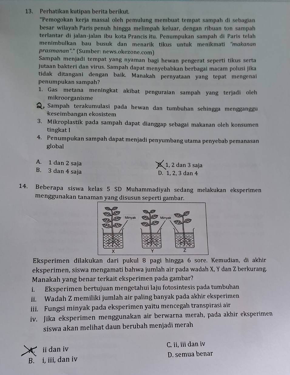 Perhatikan kutipan berita berikut.
“Pemogokan kerja massal oleh pemulung membuat tempat sampah di sebagian
besar wilayah Paris penuh hingga melimpah keluar, dengan ribuan ton sampah
terlantar di jalan-jalan ibu kota Prancis itu. Penumpukan sampah di Paris telah
menimbulkan bau busuk dan menarik tikus untuk menikmati 'makanan
prasmanan”.” (Sumber: news.okezone.com)
Sampah menjadi tempat yang nyaman bagi hewan pengerat seperti tikus serta
jutaan bakteri dan virus. Sampah dapat menyebabkan berbagai macam polusi jika
tidak ditangani dengan baik. Manakah pernyataan yang tepat mengenal
penumpukan sampah?
1. Gas metana meningkat akibat penguraian sampah yang terjadi oleh
mikroorganisme
, Sampah terakumulasi pada hewan dan tumbuhan sehingga mengganggu
keseimbangan ekosistem
3. Mikroplastik pada sampah dapat dianggap sebagai makanan oleh konsumen
tingkat I
4. Penumpukan sampah dapat menjadi penyumbang utama penyebab pemanasan
global
A. 1 dan 2 saja 1, 2 dan 3 saja
B. 3 dan 4 saja D. 1, 2, 3 dan 4
14. Beberapa siswa kelas 5 SD Muhammadiyah sedang melakukan eksperimen
menggunakan tanaman yang disusun seperti gambar.
Eksperimen dilakukan dari pukul 8 pagi hingga 6 sore. Kemudian, di akhir
eksperimen, siswa mengamati bahwa jumlah air pada wadah X, Y dan Z berkurang.
Manakah yang benar terkait eksperimen pada gambar?
i. Eksperimen bertujuan mengetahui laju fotosintesis pada tumbuhan
ii. Wadah Z memiliki jumlah air paling banyak pada akhir eksperimen
iii. Fungsi minyak pada eksperimen yaitu mencegah transpirasi air
iv. Jika eksperimen menggunakan air berwarna merah, pada akhir eksperimen
siswa akan melihat daun berubah menjadi merah
A ii dan iv C. ii, iii dan iv
B. i, iii, dan iv D. semua benar