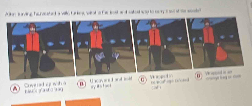 After having harvested a wild turkey, what is the best and safest way to carry it out of the seode?
A Covered up with a Uncovered and held Of lyer beg ot sluth
black plastic bag by its feet camouflage colored
cloth