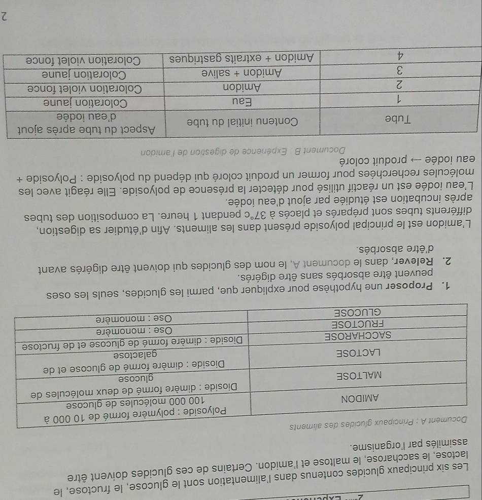 Les six principaux glucides contenus dans l'alimentation sont le glucose, le fructose, le 
lactose, le saccharose, le maltose et l'amidon. Certains de ces glucides doivent être 
assimilés par l'organisme. 
1. Proposer une hypothèse pour expliquer que, parmi les glucides, seuls les oses 
peuvent être absorbés sans être digérés. 
2. Relever, dans le document A, le nom des glucides qui doivent être digérés avant 
d'être absorbés. 
L'amidon est le principal polyoside présent dans les aliments. Afin d'étudier sa digestion, 
différents tubes sont préparés et placés à 37°c pendant 1 heure. La composition des tubes 
après incubation est étudiée par ajout d'eau iodée. 
L'eau iodée est un réactif utilisé pour détecter la présence de polyoside. Elle réagit avec les 
molécules recherchées pour former un produit coloré qui dépend du polyoside : Polyoside + 
eau iodée → produit coloré 
Document B . Expérience de digestion de l'amidon 
2