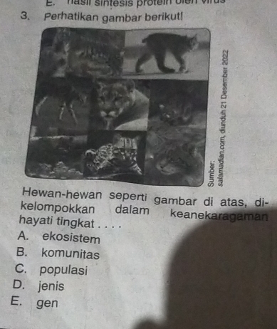 hasil sintesis protein oien vr
3. Perhatikan gambar berikut!
Hewan-hewan seperti gambar di atas, di-
kelompokkan dalam keanekaragaman
hayati tingkat . . . .
A. ekosistem
B. komunitas
C. populasi
D. jenis
E. gen