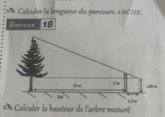 Calculer la longueur du parcours ABCDE
Exercice 18 
Calculer la hauteur de l'arbre mesuré