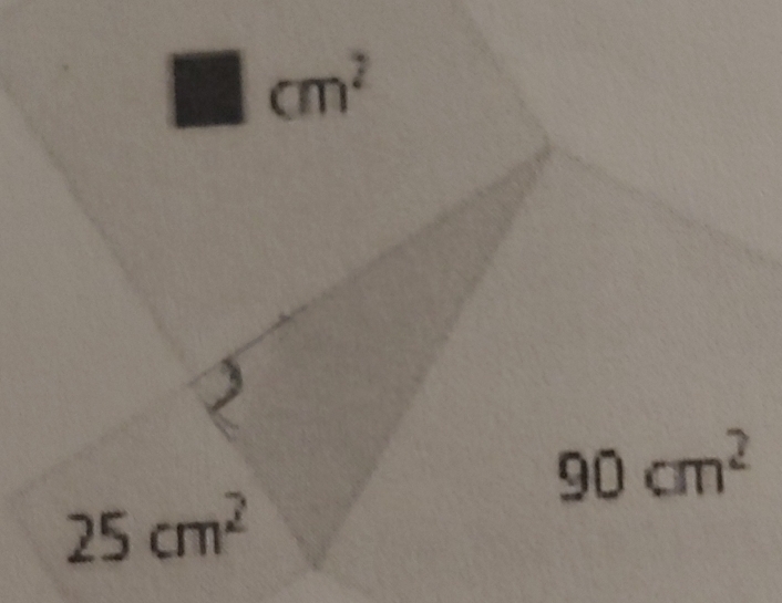 □ cm^2
90cm^2
25cm^2