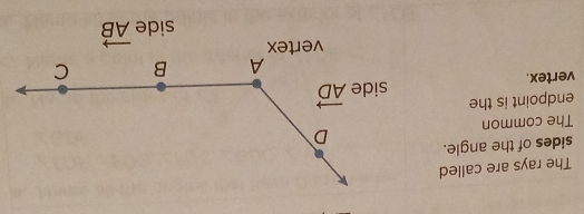 The rays are called
sides of the angle.
The common
endpoint is the
vertex. 
side vector AB