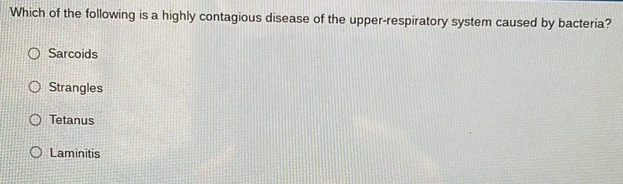 Which of the following is a highly contagious disease of the upper-respiratory system caused by bacteria?
Sarcoids
Strangles
Tetanus
Laminitis