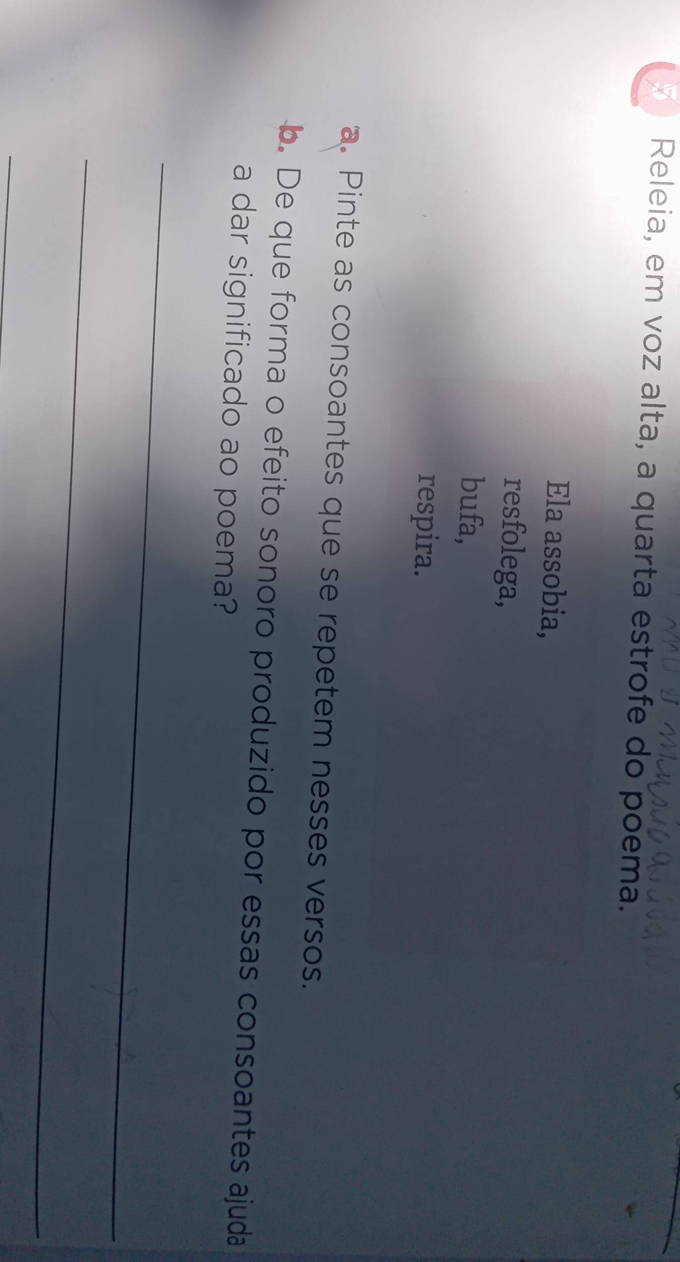 Releia, em voz alta, a quarta estrofe do poema. 
Ela assobia, 
resfolega, 
bufa, 
respira. 
a. Pinte as consoantes que se repetem nesses versos. 
b. De que forma o efeito sonoro produzido por essas consoantes ajuda 
a dar significado ao poema? 
_ 
_ 
_