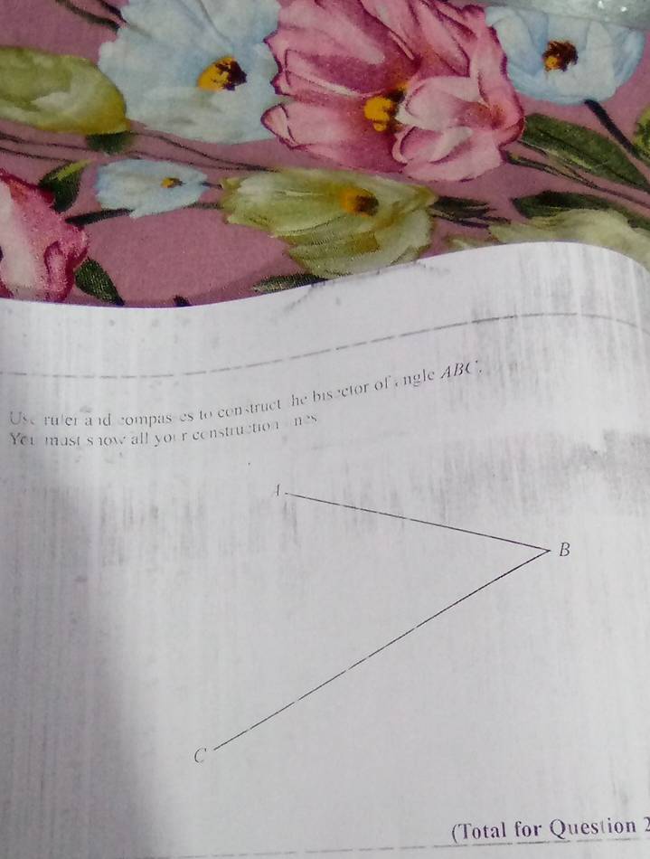 Use ruter and compas-es to construct the biscetor of angle ABC. 
You mast show all your construction nes 
(Total for Question 2