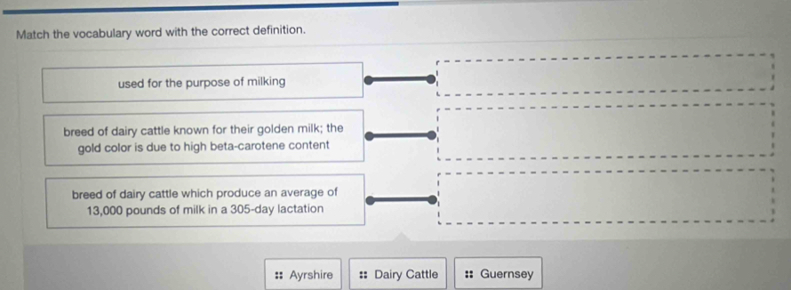 Match the vocabulary word with the correct definition.
used for the purpose of milking
breed of dairy cattle known for their golden milk; the
gold color is due to high beta-carotene content
breed of dairy cattle which produce an average of
13,000 pounds of milk in a 305-day lactation
Ayrshire Dairy Cattle :: Guernsey