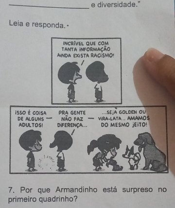 diversidade." 
Leia e responda.- 
7. Por que Armandinho está surpreso no 
primeiro quadrinho?