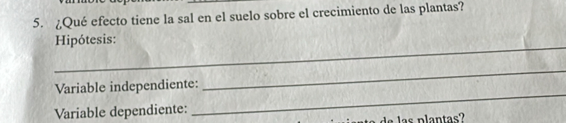 ¿Qué efecto tiene la sal en el suelo sobre el crecimiento de las plantas? 
_ 
Hipótesis: 
_ 
_ 
Variable independiente: 
Variable dependiente: