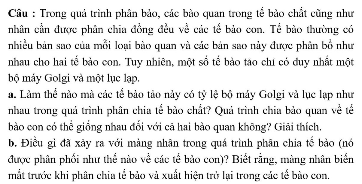 Câu : Trong quá trình phân bào, các bào quan trong tế bào chất cũng như 
nhân cần được phân chia đồng đều về các tế bào con. Tế bào thường có 
nhiều bản sao của mỗi loại bào quan và các bản sao này được phân bổ như 
nhau cho hai tế bào con. Tuy nhiên, một số tế bào tảo chỉ có duy nhất một 
bộ máy Golgi và một lục lạp. 
a. Làm thế nào mà các tế bào tảo này có tỷ lệ bộ máy Golgi và lục lạp như 
nhau trong quá trình phân chia tế bào chất? Quá trình chia bào quan về tế 
bào con có thể giống nhau đối với cả hai bào quan không? Giải thích. 
b. Điều gì đã xảy ra với màng nhân trong quá trình phân chia tế bào (nó 
được phân phối như thế nào về các tế bào con)? Biết rằng, màng nhân biến 
mất trước khi phân chia tế bào và xuất hiện trở lại trong các tế bào con.