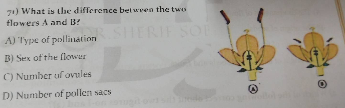 What is the difference between the two
flowers A and B?
A) Type of pollination
B) Sex of the flower
C) Number of ovules
D) Number of pollen sacs
Q