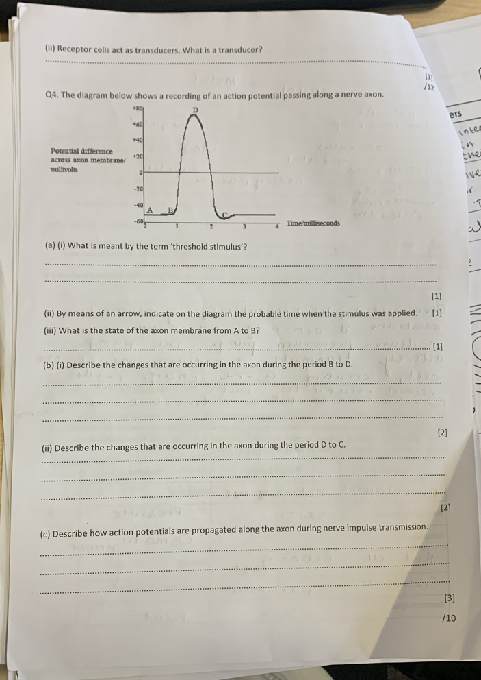 (ii) Receptor cells act as transducers. What is a transducer? 
[1] 
/12 
Q4. The diagram below shows a recording of an action potential passing along a nerve axon.
+80 D 
ers
+60
Le
+40
Potential difference 
across axon membrane +20
millivolts
-20
-40 A B
-60 2 3 4 Time/milliseconds 
(a) (i) What is meant by the term ‘threshold stimulus’? 
_ 
 
_ 
[1] 
(ii) By means of an arrow, indicate on the diagram the probable time when the stimulus was applied. [1] 
(iii) What is the state of the axon membrane from A to B? 
_[1] 
(b) (i) Describe the changes that are occurring in the axon during the period B to D. 
_ 
_ 
_ 
[2] 
_ 
(ii) Describe the changes that are occurring in the axon during the period D to C. 
_ 
_ 
[2] 
_ 
(c) Describe how action potentials are propagated along the axon during nerve impulse transmission. 
_ 
_ 
[3] 
/10