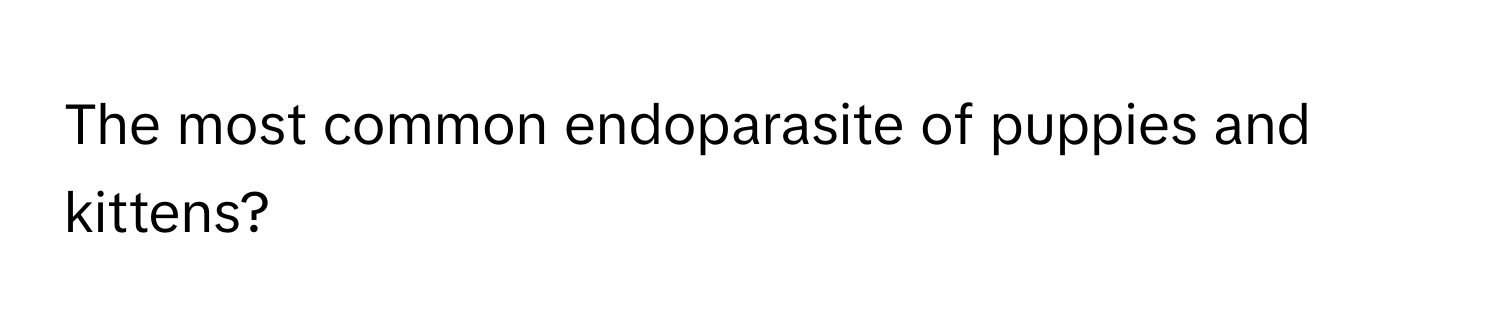 The most common endoparasite of puppies and kittens?