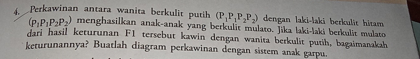 Perkawinan antara wanita berkulit putih (P_1P_1P_2P_2) dengan laki-laki berkulit hitam
(p_1P_1P_2P_2) menghasilkan anak-anak yang berkulit mulato. Jika laki-laki berkulit mulato 
dari hasil keturunan F1 tersebut kawin dengan wanita berkulit putih, bagaimanakah 
keturunannya? Buatlah diagram perkawinan dengan sistem anak garpu.