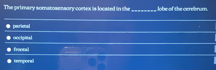 The primary somatosensory cortex is located in the _lobe of the cerebrum.
parietal
occipital
frontal
temporal