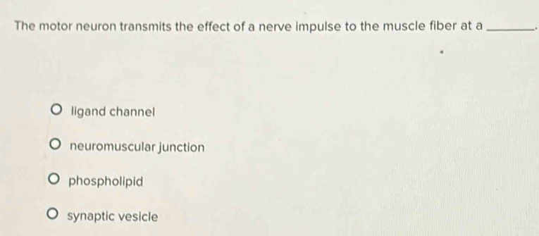 The motor neuron transmits the effect of a nerve impulse to the muscle fiber at a _.
ligand channel
neuromuscular junction
phospholipid
synaptic vesicle