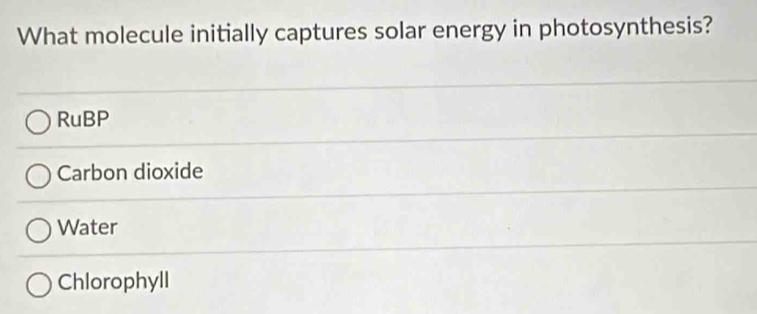 What molecule initially captures solar energy in photosynthesis?
RuBP
Carbon dioxide
Water
Chlorophyll