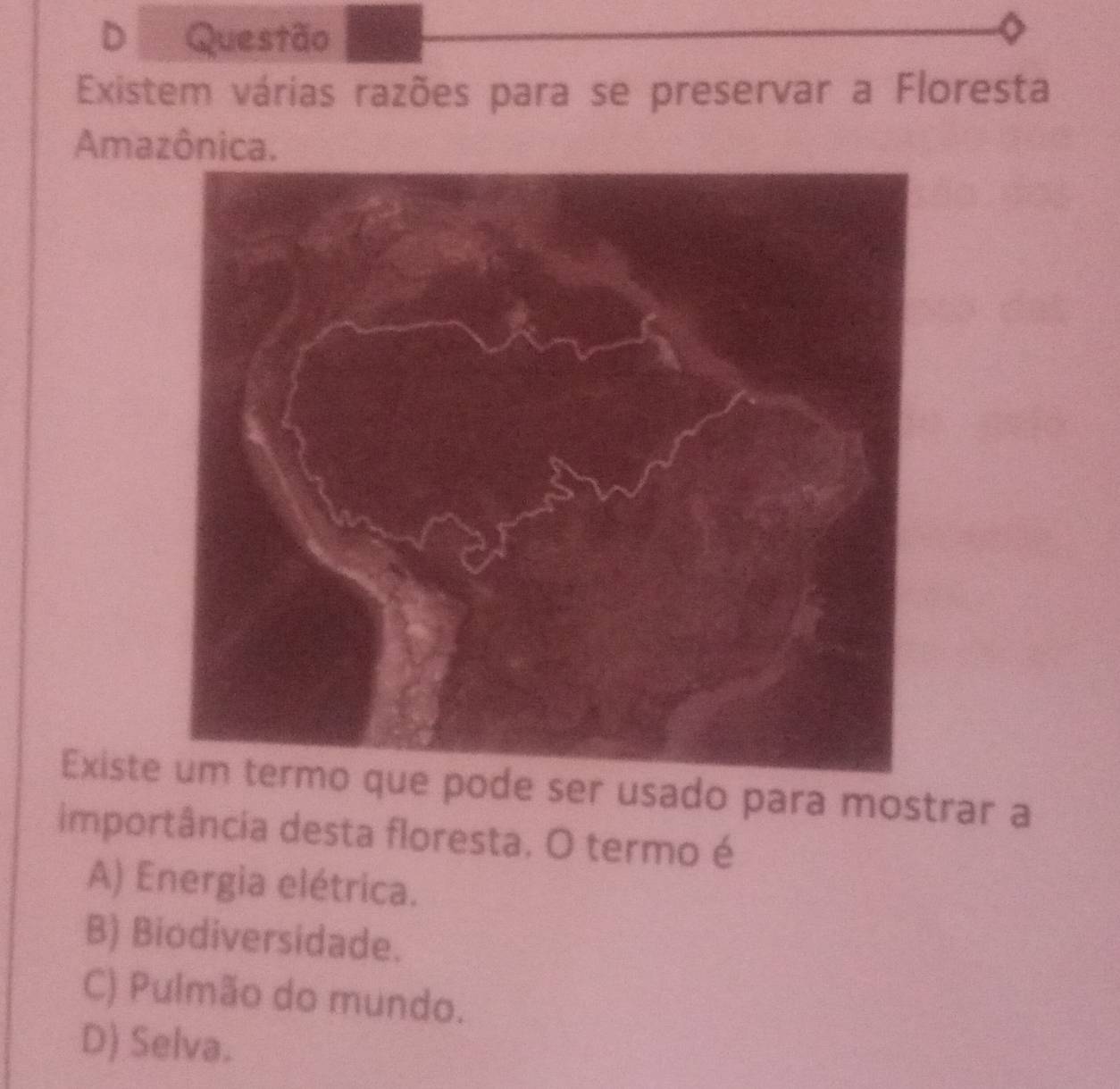 D Questão
Existem várias razões para se preservar a Floresta
Amazônica.
Existeode ser usado para mostrar a
importância desta floresta. O termo é
A) Energia elétrica.
B) Biodiversidade.
C) Pulmão do mundo.
D) Selva.