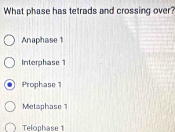 What phase has tetrads and crossing over?
Anaphase 1
Interphase 1
Prophase 1
Metaphase 1
Telophase 1