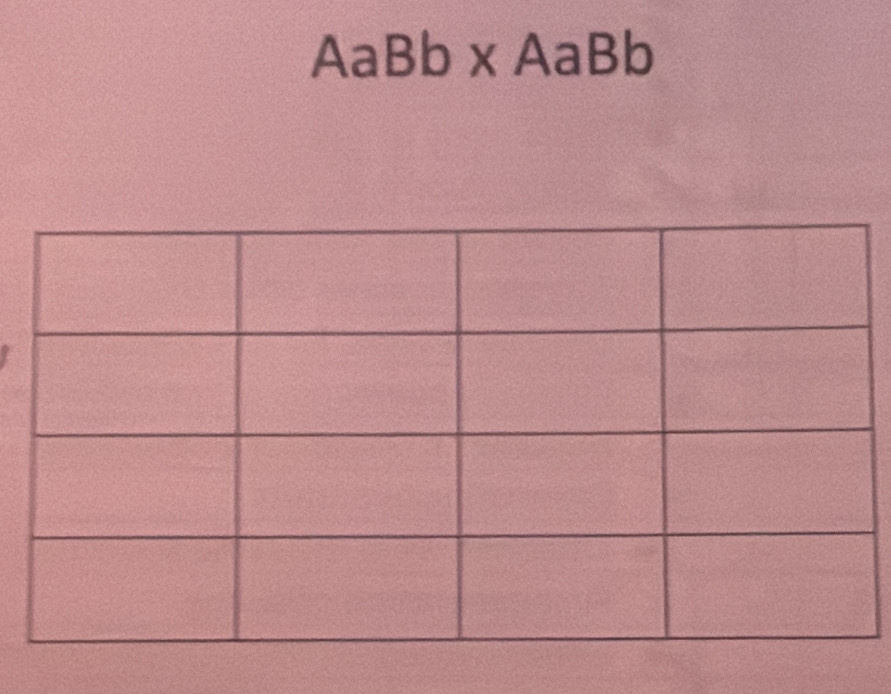 AaBb* AaBb